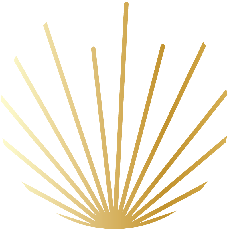 Golden radial lines fan outward from a central point at the bottom of the image, resembling a stylized sunburst or scallop shell on a white background—an elegant symbol that could represent warmth and vitality in senior care.