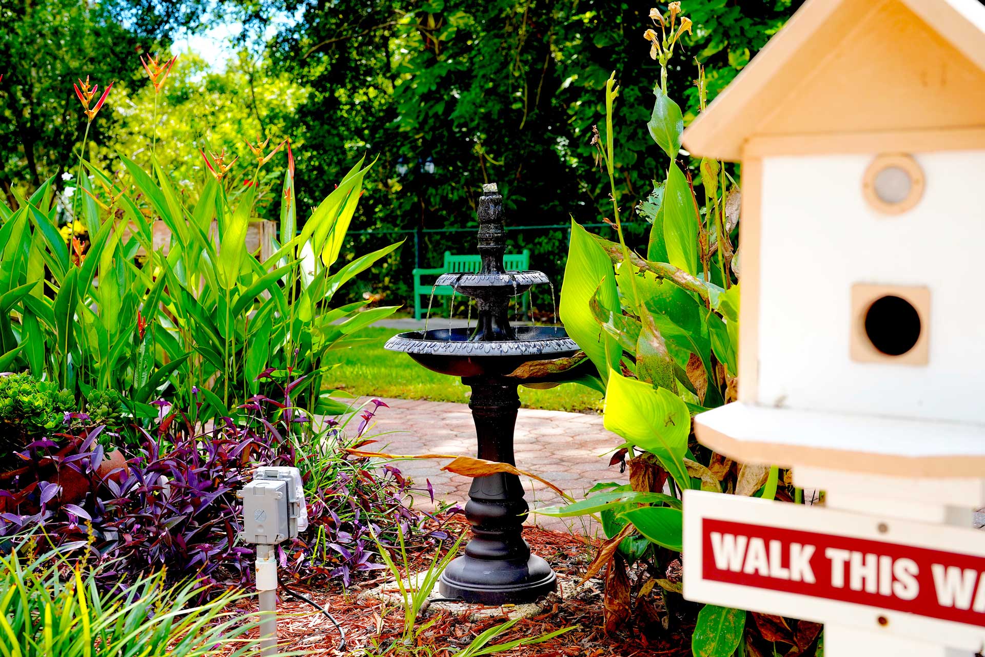 A garden scene designed for senior care, with lush plants, a black fountain in the center, a white birdhouse in the foreground, and a red sign reading “WALK THIS WAY.” Green benches are visible in the background.