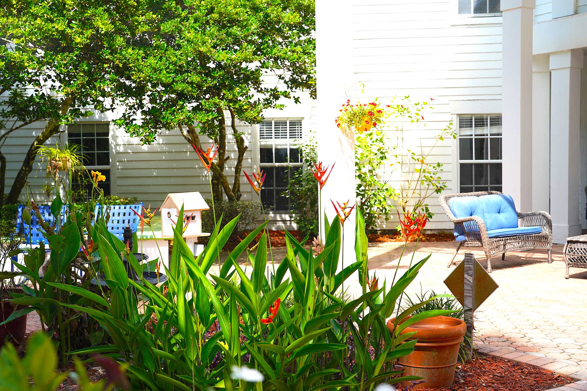 A sunny courtyard with green plants, colorful flowers, a birdhouse, a blue cushioned patio bench, and a wicker chair near a white building creates an inviting setting for senior care.